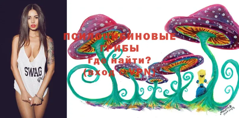 как найти закладки  Красноярск  Псилоцибиновые грибы MAGIC MUSHROOMS 