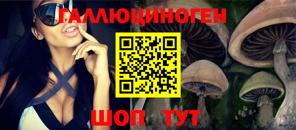 Галлюциногенные грибы мицелий Красноярск