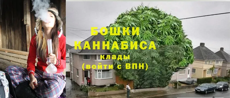 Шишки марихуана THC 21%  Красноярск 